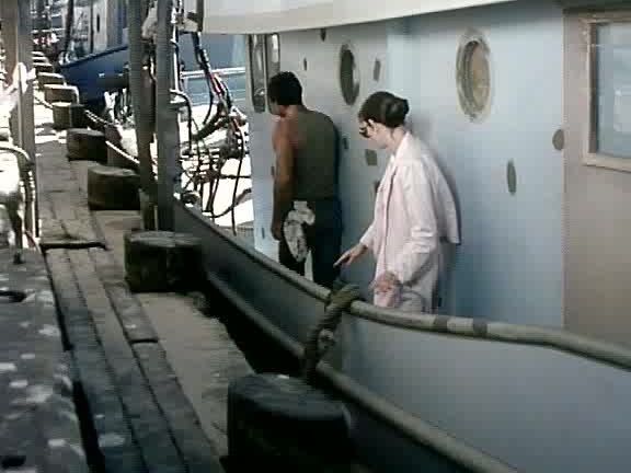 "Nina Hartley, Annette Haven, John Holmes, Amber Lynn, Ginger Lynn, Traci Lords, Lili Marlene, Harry Reems" All Sex, Squirt, Orgazm G The Grafenberg Spot. Artie Mitchell Mitchell Brothers