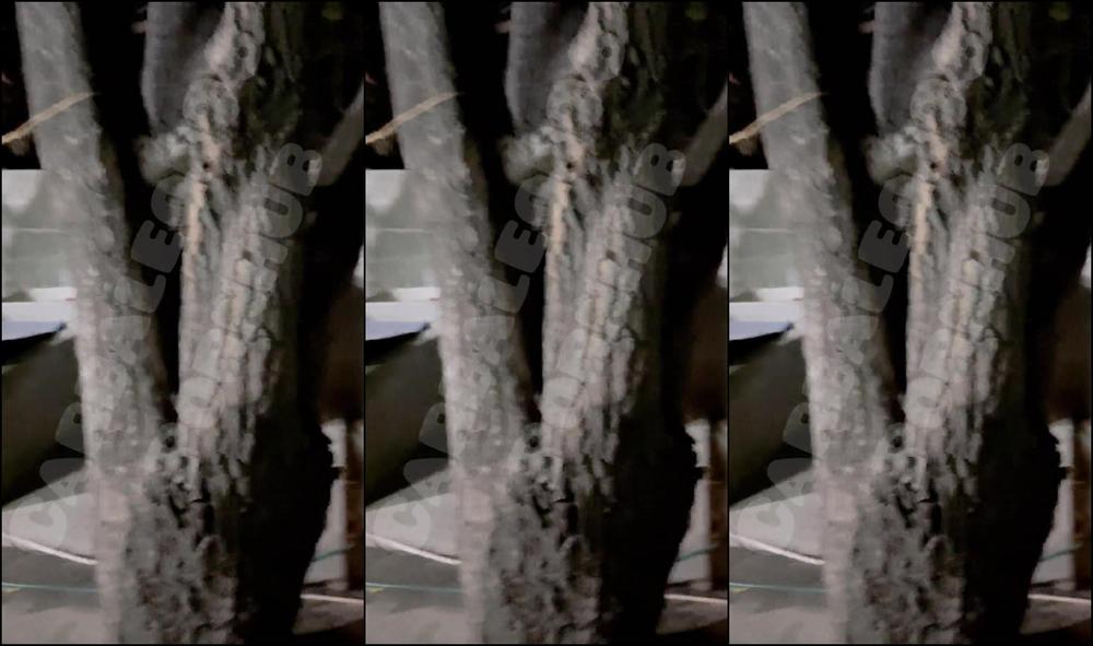 "Carbaleon96" Porno Casero, Porno Amateur, Porno Mexicano, Porno En Espanol Hd, Garganta Profunda Hd, Verdad O Reto, Tetas Lactando, Leche Materna, Tragando Semen, Ricas Mamadas, Mamadas En La Calle, Extractor De Leche, Cabello Largo, Chica Tetona, C