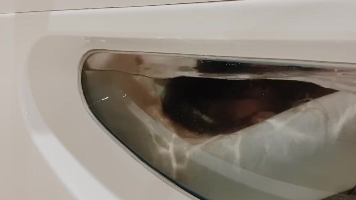 "Aeries Steele" Asian, Squirting, Asian Squirt, Huge Dick, Big Dick, Jacuzzi, Underwater, Footjob, Blowjon, Underwater Footjob, Underwater Blowjob, Cumshot, Asian Cumshot, Cum, Korean, Suggest Aeries Steele OUR HOTEL ROOM HAD A NICE JACUZZI SO WE FUC