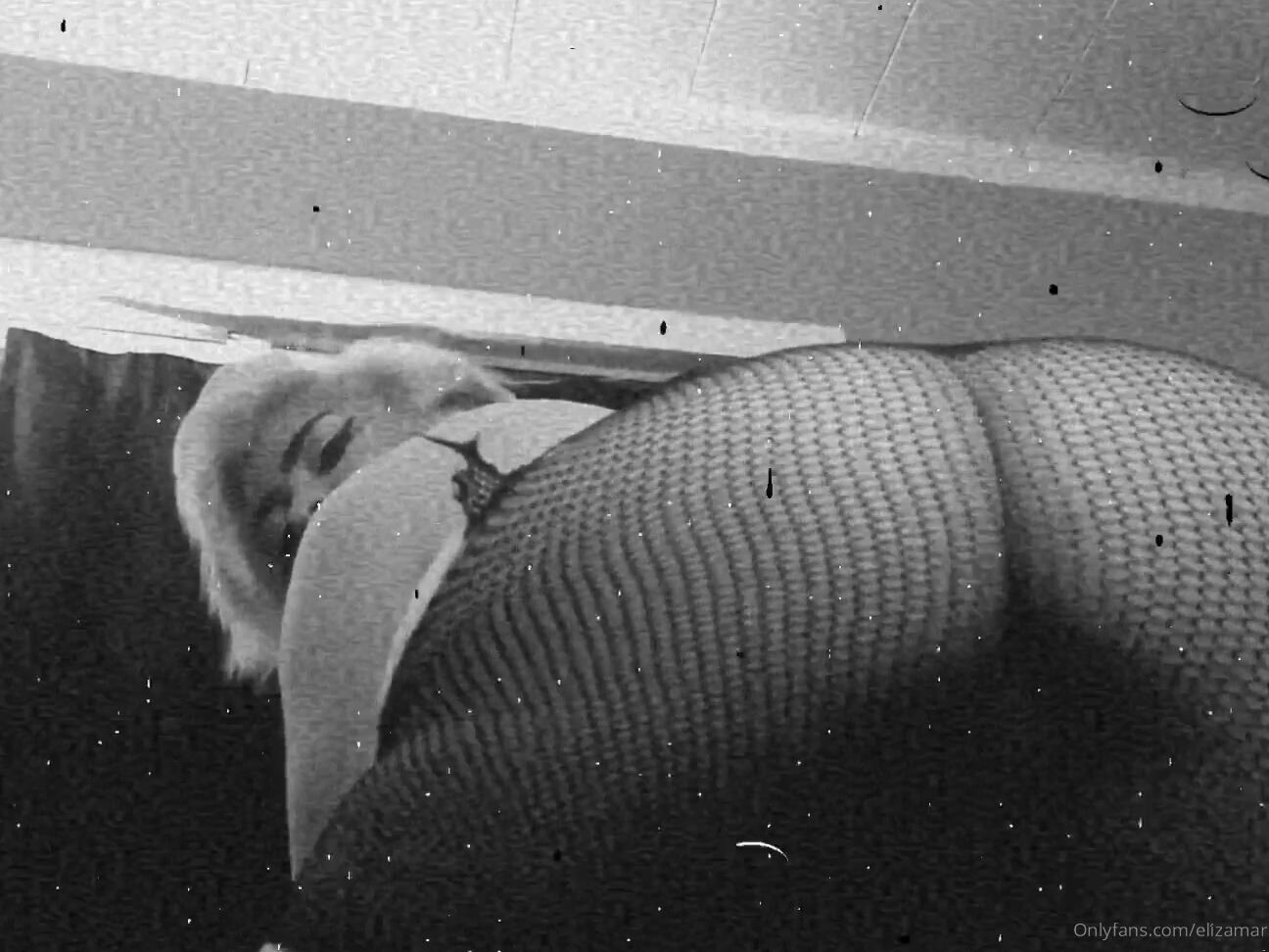 Mrsunivrse Death To Fishnets By Yours Truly Min