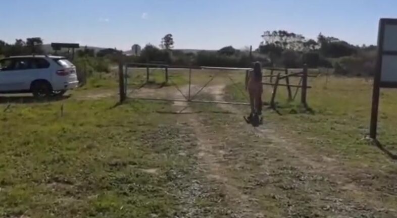 Daring Desire DARING TO BARE Pornhub