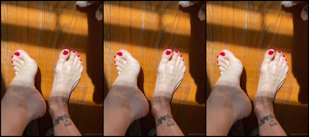 Catprincessfeet Onlyfans Guard Cats Activatedlonger Version