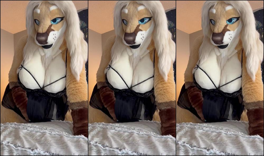 Angel Pups 675652815 I Could Use Some Company Tonight 01 259B88B3 0Cee 4089 B253 790D6698D340