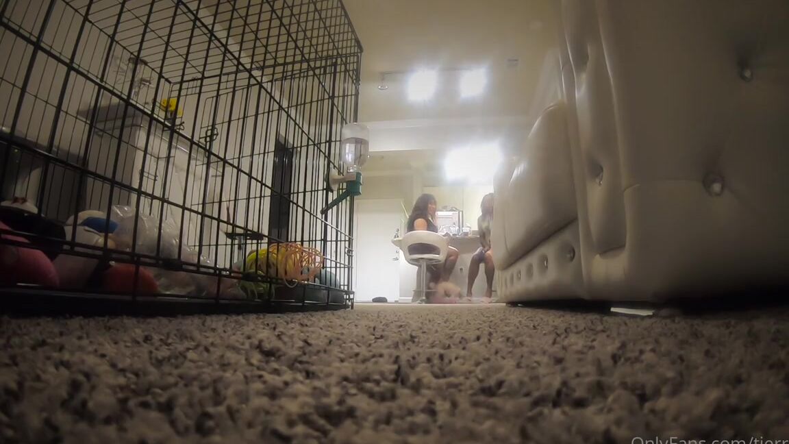 Tierradoll Onlyfans Little Stinky Man Feat Queen Ninadom