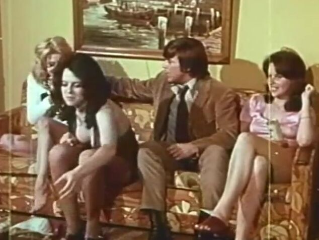 "Andy Bellamy, Cleo O’Hara, Jill Sweete, Sandi Carey, Billy Lane, Keith Erickson" Classic Twin Brothers Something Weird Video