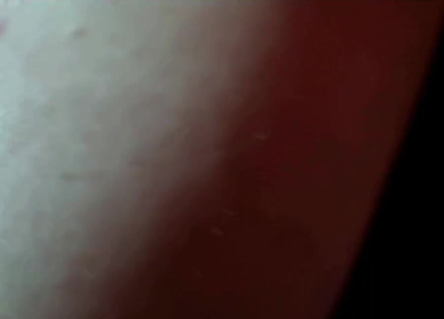 madame fermans giant couple dominating slaves part 3 subtitled video Clips4Sale