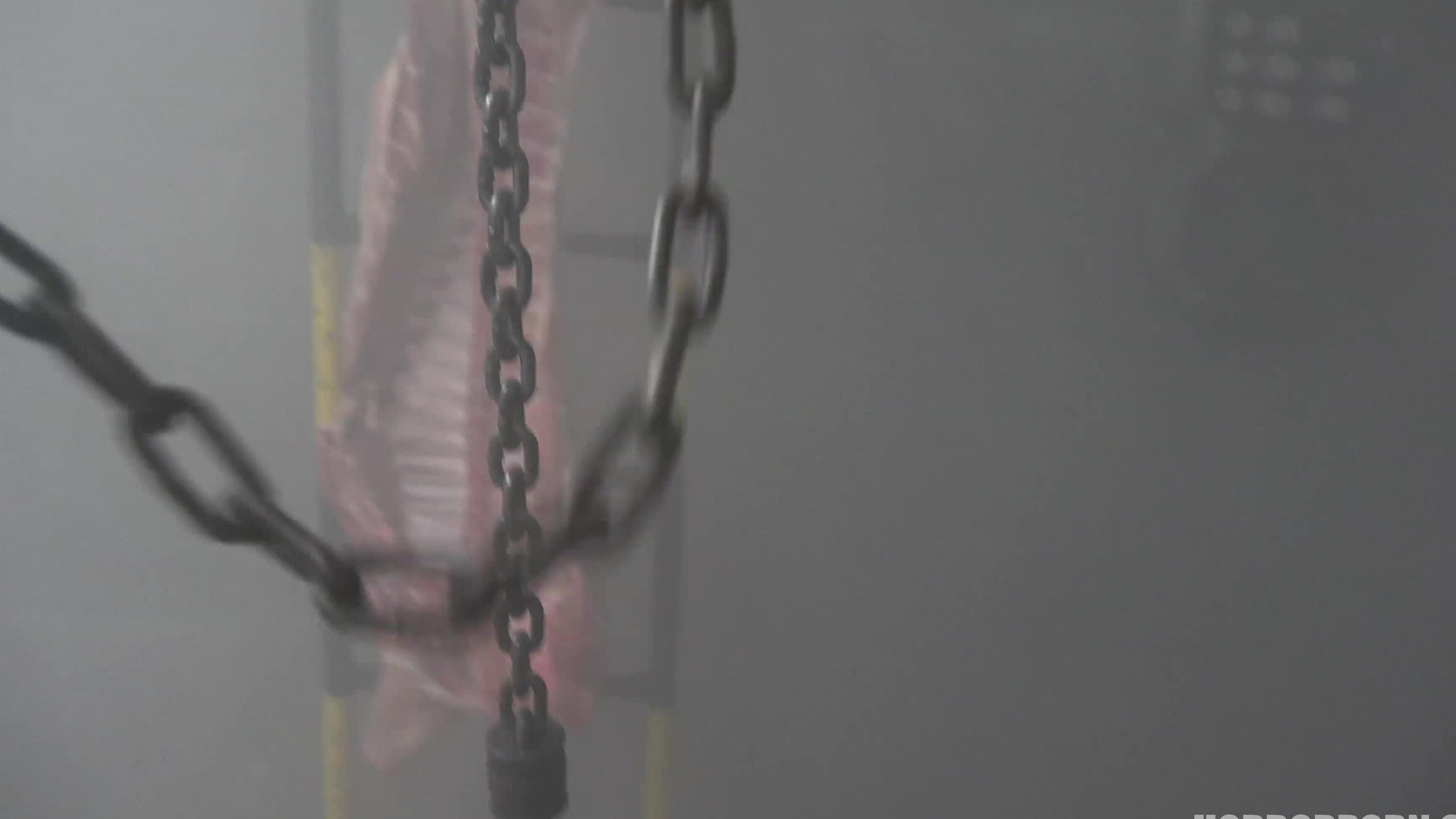 Horrorporn Twisted Desires 38402160