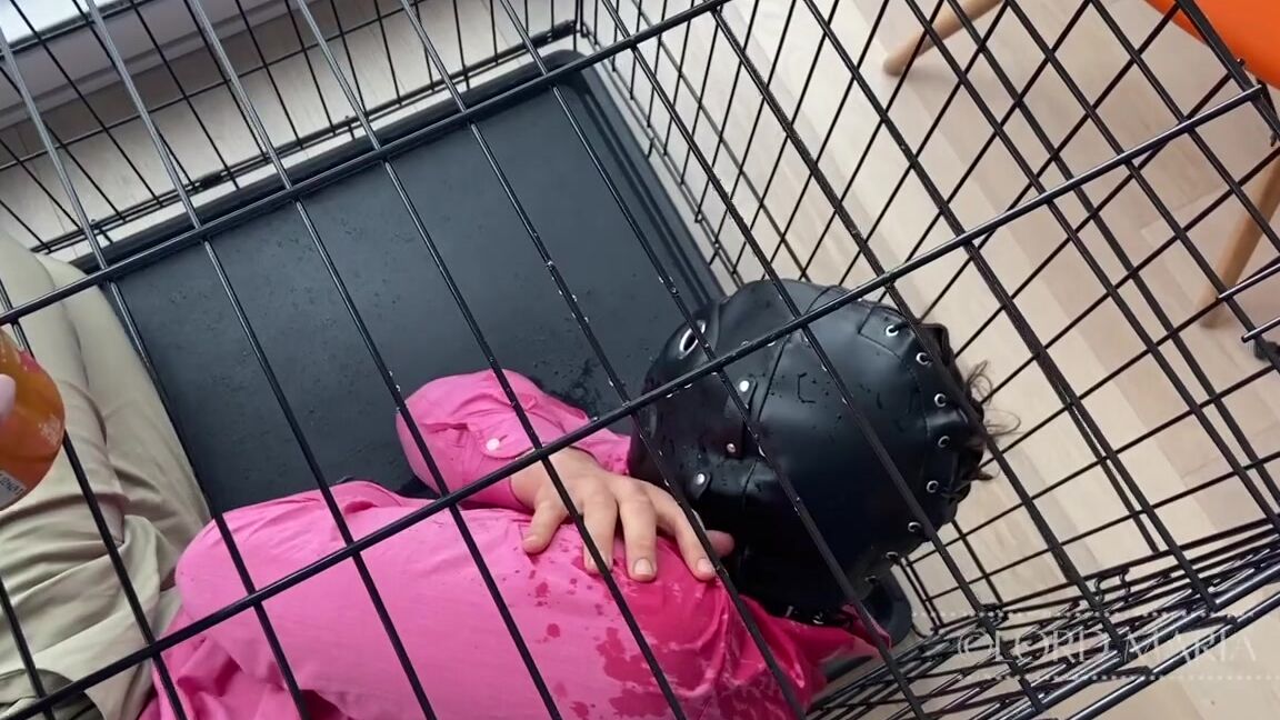 lord goddess maria degrading my caged slave_55 Clips4Sale