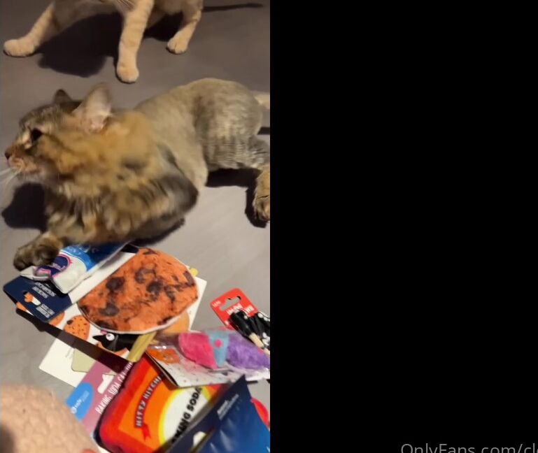 Clca69 2450348451 05 17 2022 Behind The Scenes Of Christy Love Swissy And Kiki S New Toys