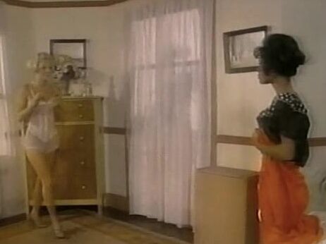 "Ginger Lynn, Colleen Brennan, Honey Wilder, Karen Summer, Joanna Storm, Paul Thomas, Lady Stephanie, Randy West, Tom Byron, Chelsea Manchester, Cher Delight, Gina Carrera, Alex Jordan, Shaun Michelle, John Leslie, Dick Howard, Gary Wright" Classic B