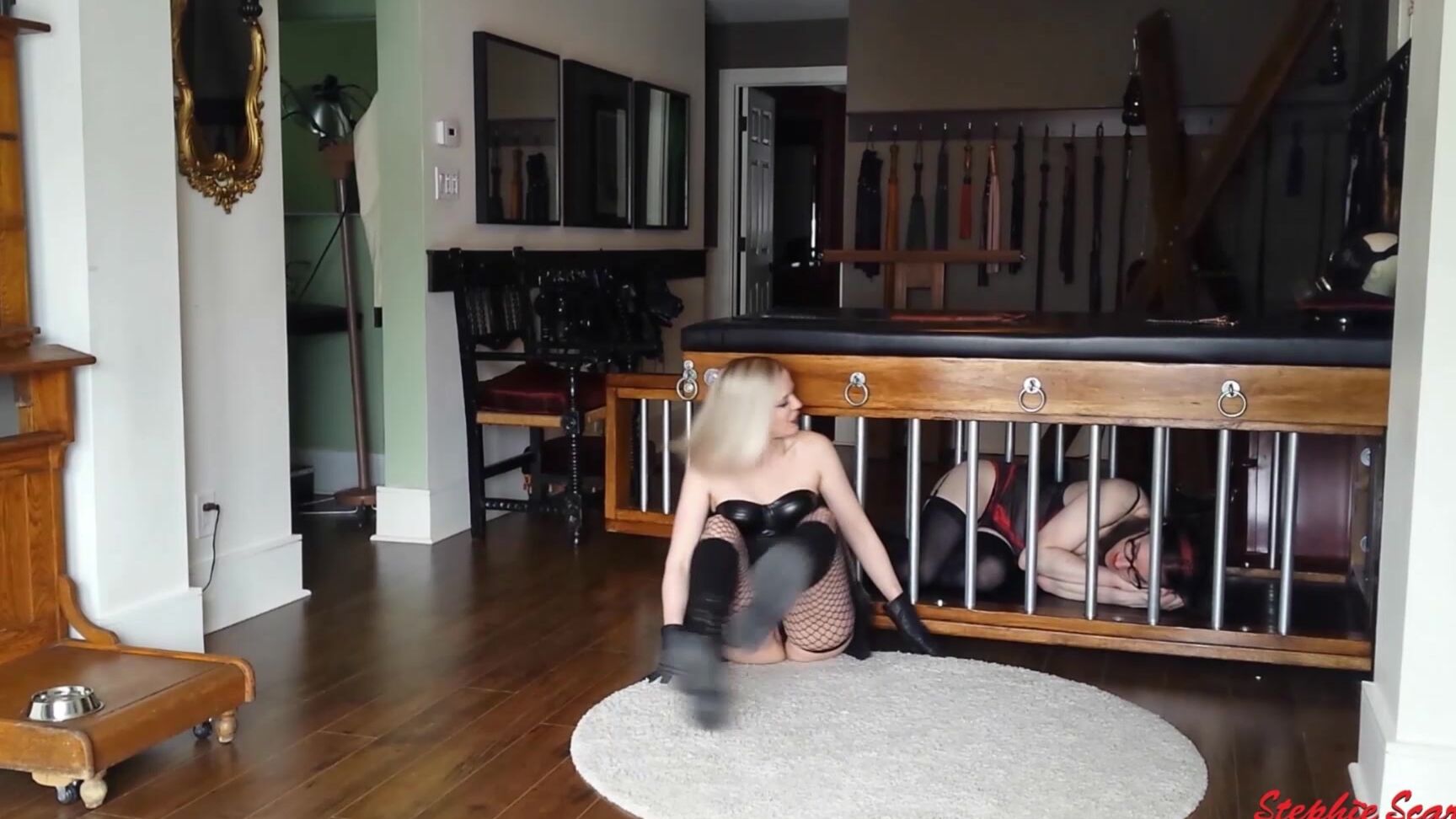 Puppy Play,Trans,Mistress,Femdom,Paddling stephie scarlet mistress trains her new puppy ManyVids