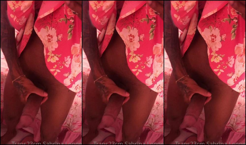 Trans23Cmreal 2388295320 03 10 2022 Good Morning