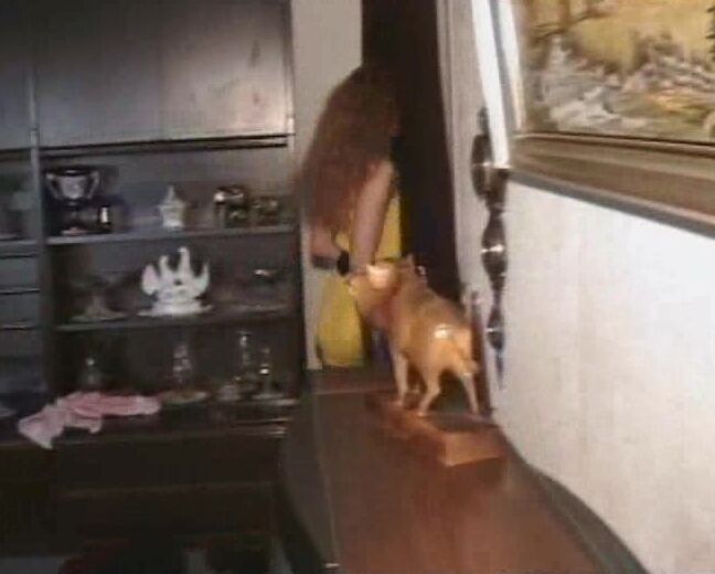 "Mix" Hardcore, Oral, Masturbation, Amateur, Cumshots, Private Sex, Lesbian Mein privater Sexfilm 5 Multi Media Verlag (MMV)