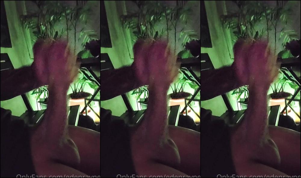 Edenraynes Love Watching The D Sney Fireworks From Home