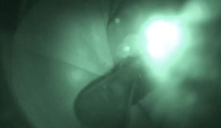 avbabes hot young couple caught fucking in car manyvids