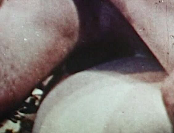 "Mix"Pornography By Lasse Braun 1_2 SiteRip