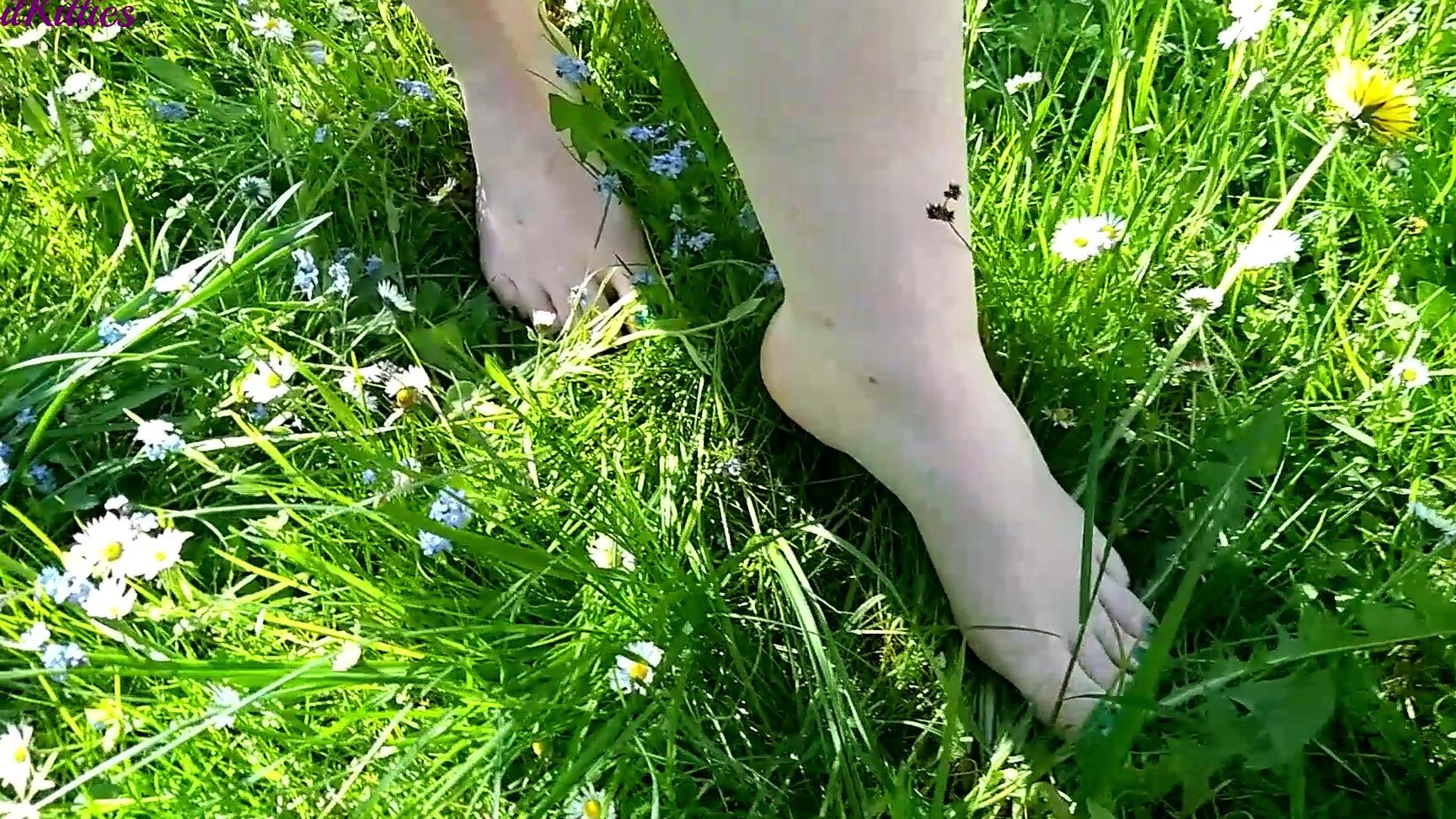 Barefoot, Dirty Feet, Fetish, Foot Fetish, Soles evil kitties barefoot in spring ManyVids