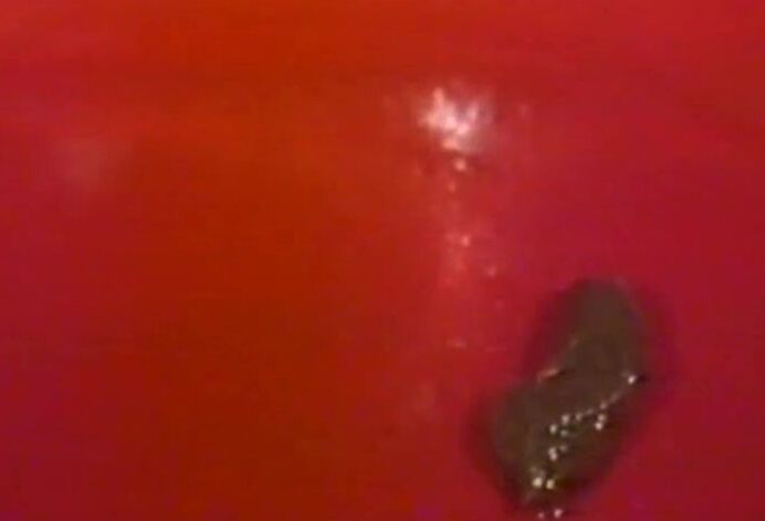 Touch Me 13 - Sissy Pissy SiteRip