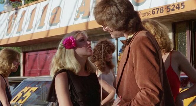 "Aubrey Nichols, Chris Landau, Candida Royalle, Hillary Summers, Nancy Hoffman, Nancy Suiter, Pat Manning, Rhonda Jo Petty, Serena, Stacy Goldman, Alan B. Colberg, Bill Stanley, Bud Wise," Feature, Classic Taxi Girls Superfilm LTD