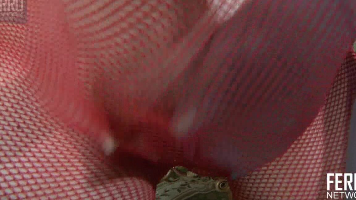 Epantyhoseland G1111 Beatrice