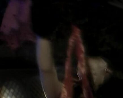 "Nikki Anderson, Jessica Drake, Chandler, Vivi Anne, Kianna Bradley, Envy Mariah, Evan Stone, Randy Spears, Dale Dabone, Jon Dough, Mark Davis" All sex, Oral Taboo of Tarot SiteRip