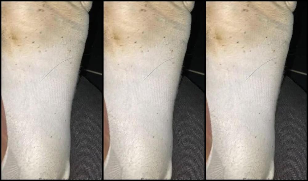 Emmysfeetandsocks Aka Emmyfeetandsocks Onlyfans Omg These Socks Are So Done I Barley Couldn T Breathe While Making This Video 1P