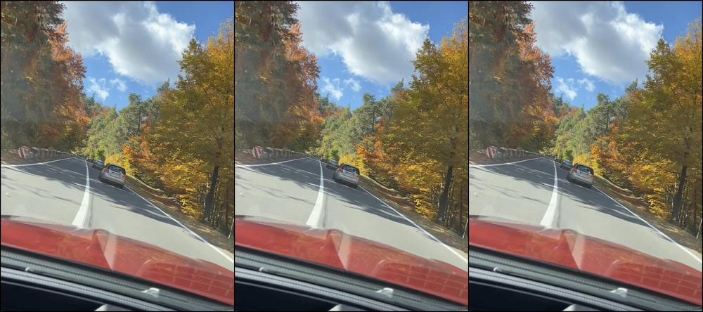 Anisyia 2021 10 24 Autumn Is Not That Bad After All 2255420318