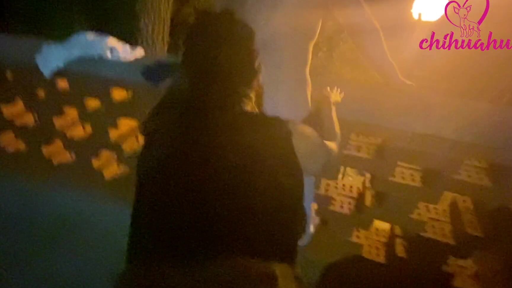 Chihuahuasu Wild Content Behind Te Scenes From Croatia