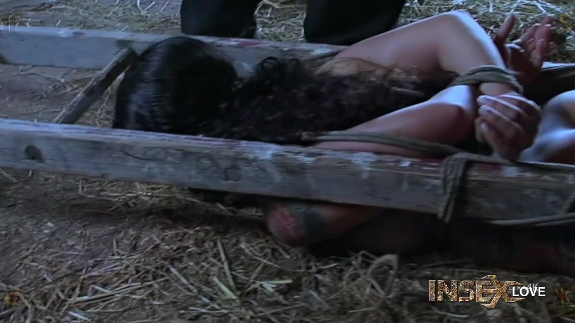 Ring Gag, Hardcore, Hooded, Dildo, Buttplug, Blowjob, BDSM, Cumshot, Facial, Anal Play, Outdoor, Caning, Bondage, Fingering, Suspension 120 SiteRip