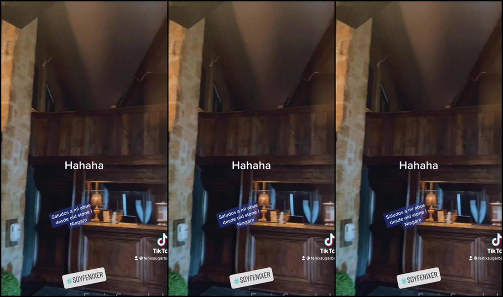 Fenixsugarbaby Mi Tiktok Siempre Es Borrado He Salvado Alg N Que Otro Video