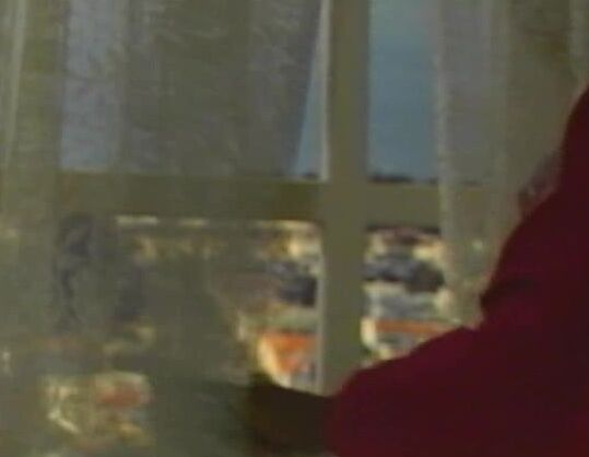 "Nina Hartley, Alexis Greco, Angel Kelly, Gail Sterling, Lili Marlene, Ron Jeremy, Tom Byron" Feature, Classic Hot Rocks Wet Video