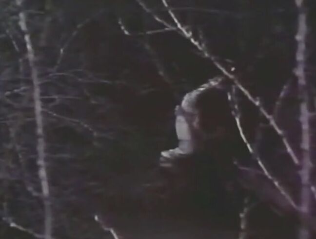 "Cindy Fields, Hillary Summers, Mike Ranger, Steve Lerner" Classic, Feature California Heat SiteRip