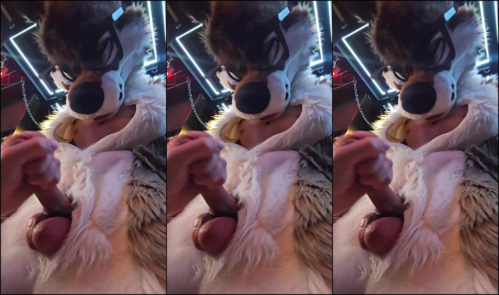 Palacewolf 1434248741 Sneak Peak Forfun Studio Bangkok Thailand Enjoy Full 01 0Hwk9R7Bf0Q4W4Mgpb1Oq Source