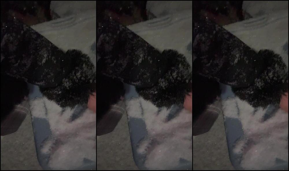 Hunnythorne 3658421096 01 22 2025 It S Snowing I M So Excited I Just Went For An Hour Long Walk In The