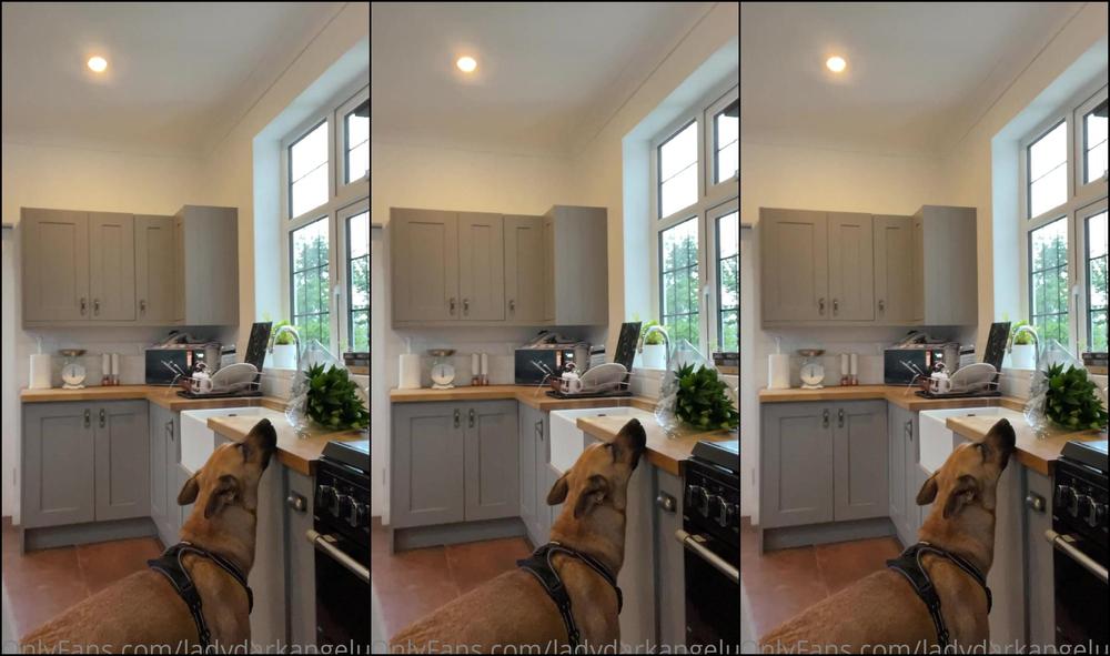 Lady Dark Angel Please Listen Xxx