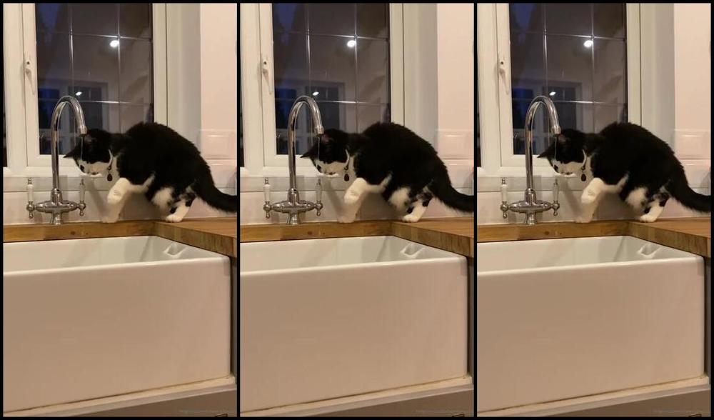 Ladydarkangeluk Onlyfans My Girl Ha Ha She Loves Taps And Water