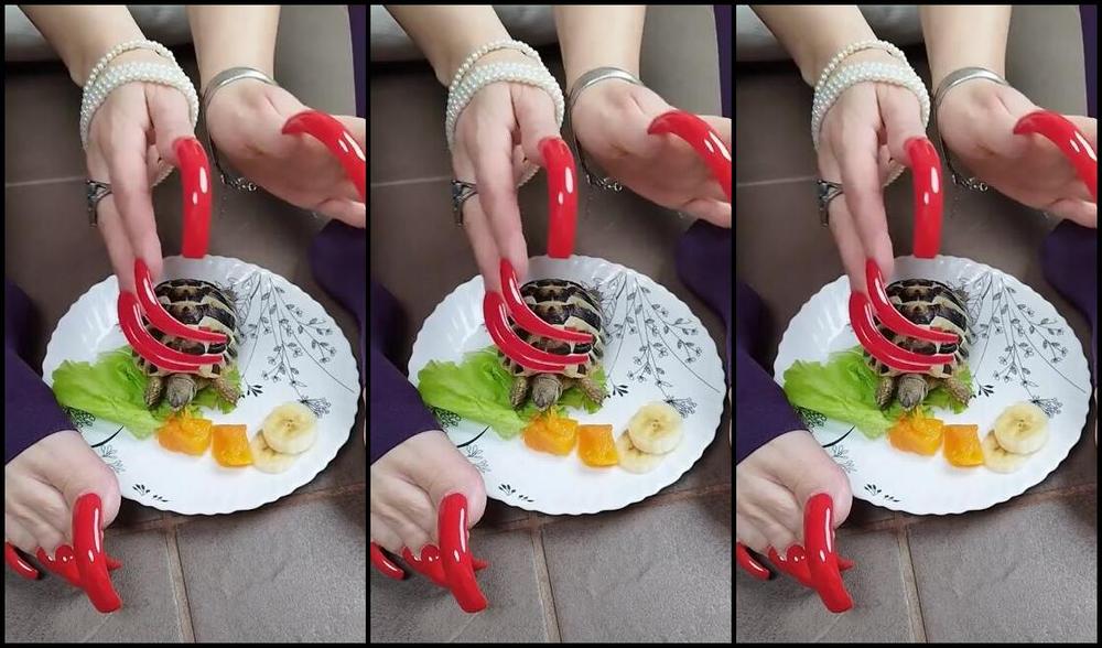 Lora Long Nails Nicknamed Loralongnails Onlyfans My Pet Tortoise And Long Red Nails