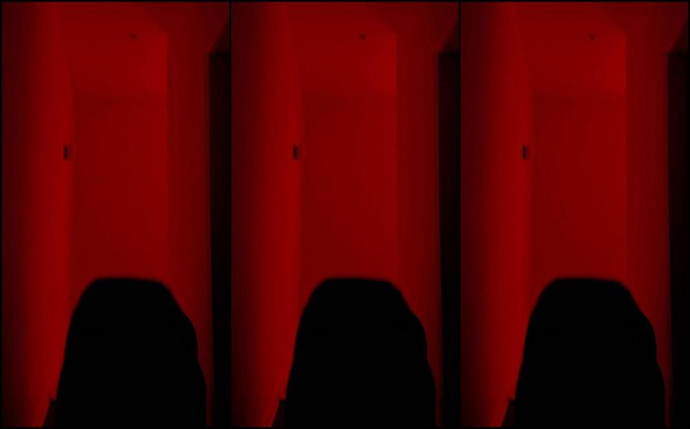 Onlyonerhonda 2019177038 01 28 2021 Silhouette Challenge