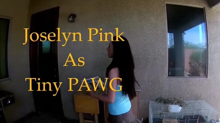 Screwxxx Spunk My Neighbor