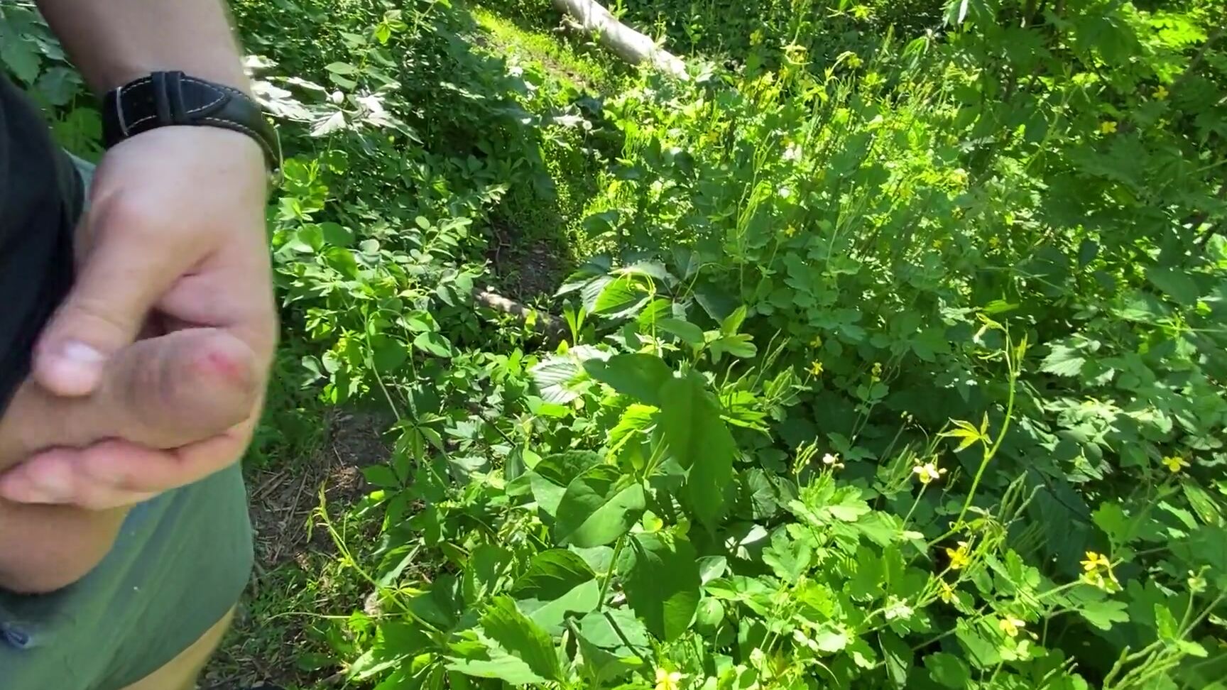 Незнакомка Не Удержалась И Потрогала Мой Член Pornhub Com