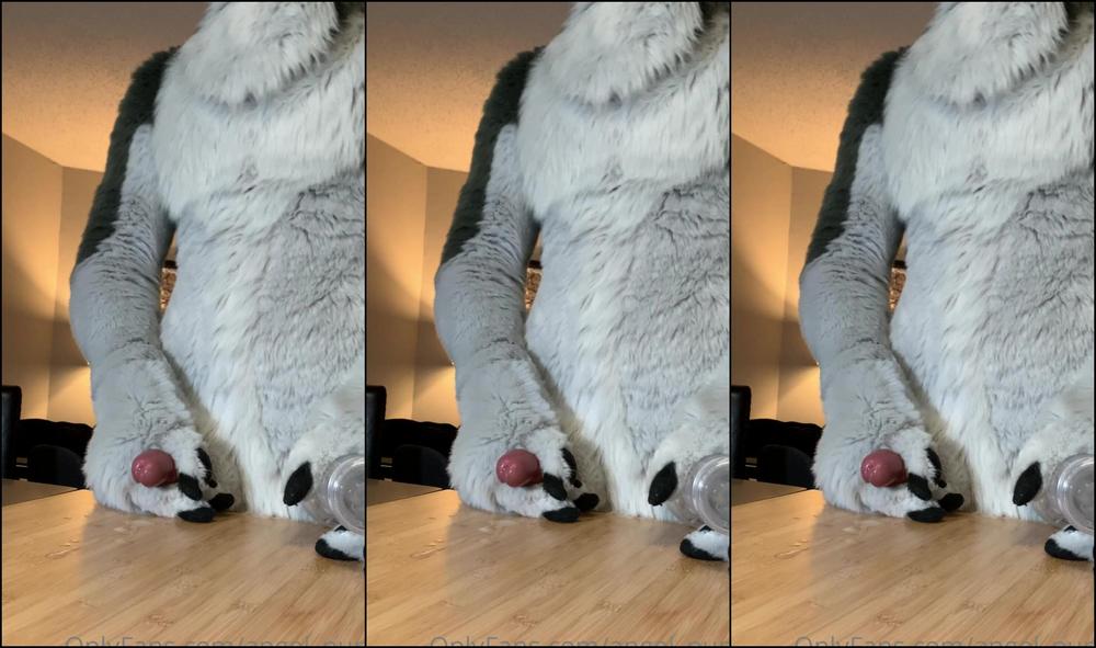 Angel Pups 296862896 Few Angles Of Storm Using His Fleshlight 03 383C425D 4C6F 4F44 950D 17Ad33Fc39Df