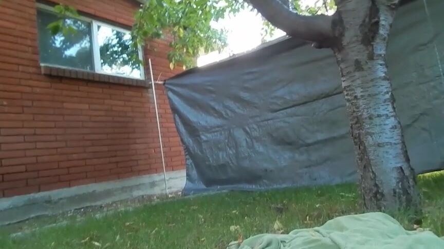 Dildo Fucking, Dildo Sucking, Food, Food Masturbation, Food Porn harper the fox carb lover ManyVids