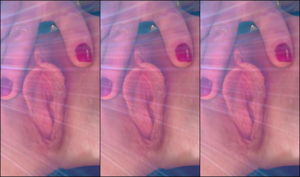 Autumn Orchid 529477035697905666