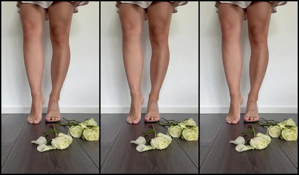 Sarina Jones Nicknamed Sarinajones 01 10 2024 Onlyfans Video You Are Like These Roses You Deserve To Get Trampled By My Beautiful Soles