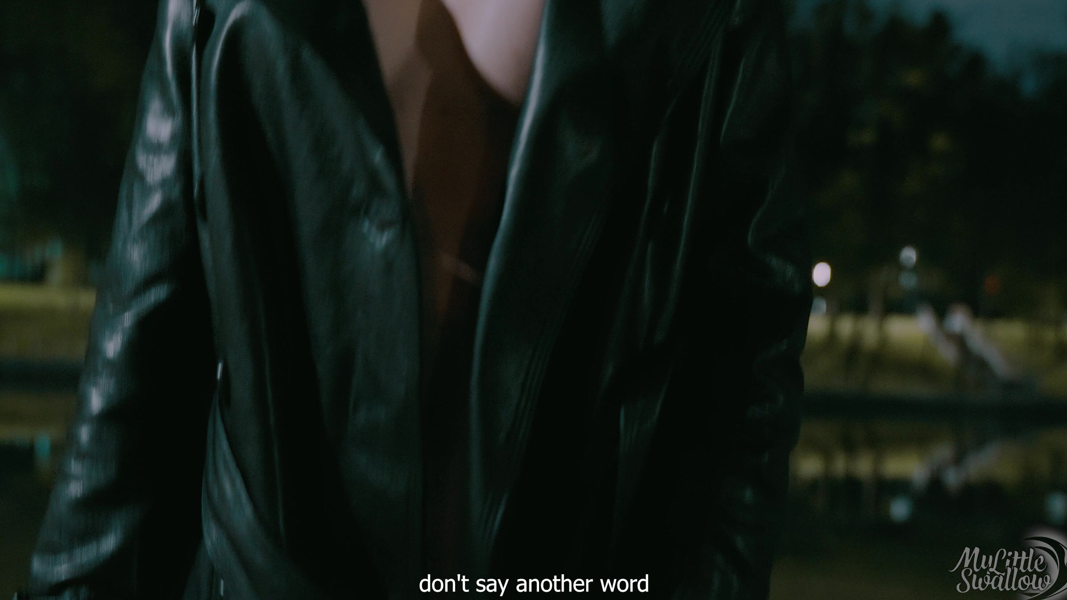 Cum In Mouth,Cum Swallowers,POV,Public Blowjob,Public Outdoor mylittleswallow late night tales 1 quickie in city park ManyVids