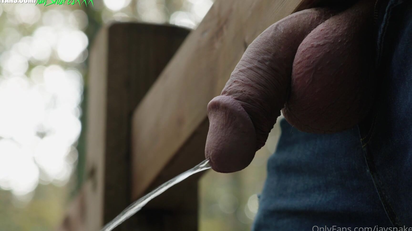 Jaysnakesxxx If You Go Down In The Woods Today You Re Sure Of A Big Throbbing Surprise Who S Coming