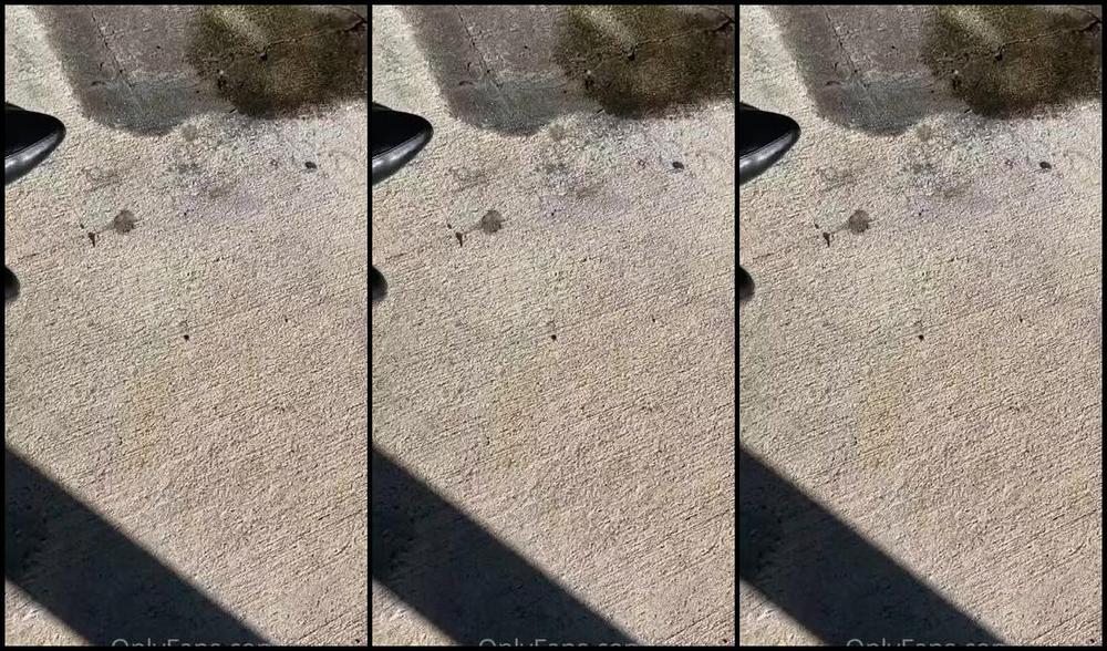 Firstclasssoles Aka Fc Soles Onlyfans 01 20 2023 Stranger Dec 2022 Spotted Her And Scored But Didn T Get The Digits2