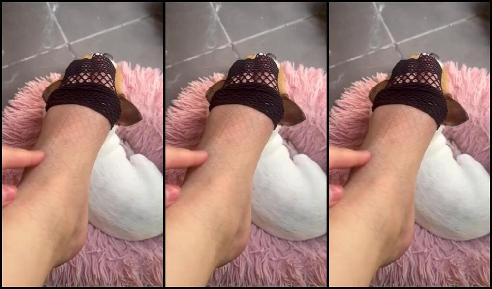 Alicefeetz Nicknamed Alicefeetz 06 28 2022 Onlyfans Video Yes Marks From Mesh Socks