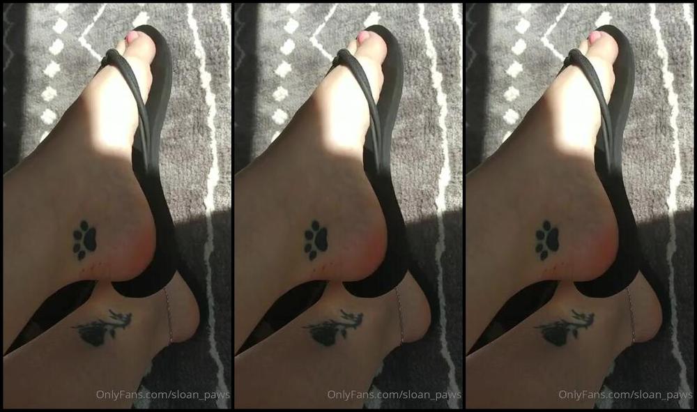 Sloans Paws Nicknamed Sloan Paws 08 11 2019 Onlyfans Video Happy Sunday Guys