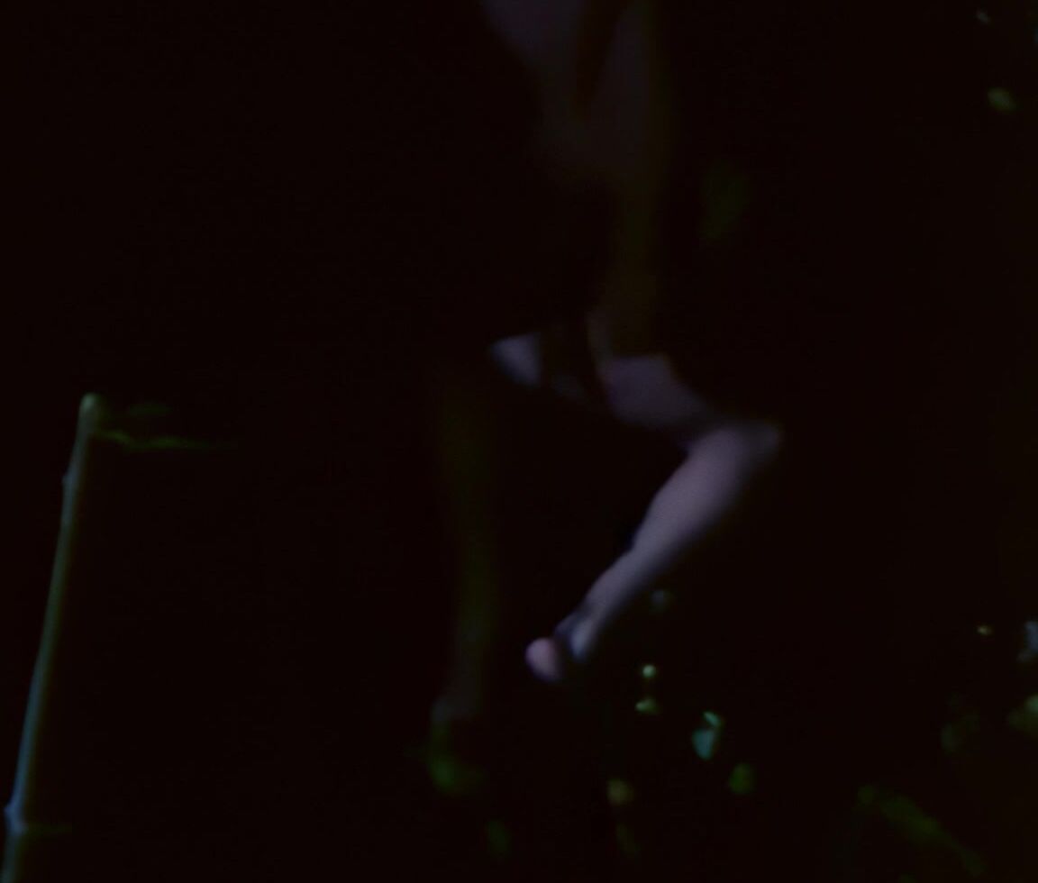 "Jean Jennings, Annette Haven, John Leslie, John Holmes, Paul Thomas, Joanna Hilden, Ken Scudder, Dale Meador, Artie Mitchell, Michael Dolan, Mitch Mandell" Classic, Comedy, Feature Autobiography of a Flea Mitchell Brothers